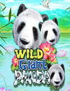 เว็บ พนัน ยิง ปลา ทดลองเล่น สร้างประสบการณ์สุดมัน